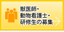 獣医師・動物看護士・研修生の募集