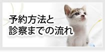 予約方法と診療までの流れ