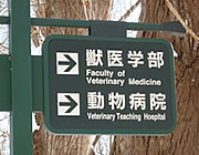 北海道大学 大学院獣医学研究科附属動物病院