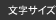 文字サイズ