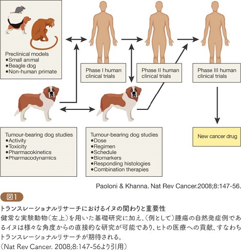 BSAVA 小動物の繁殖と新生子マニュアル《第二版》 | BSAVA