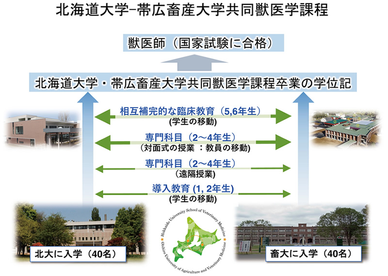 北海道大学─帯広畜産大学共同獣医学課程