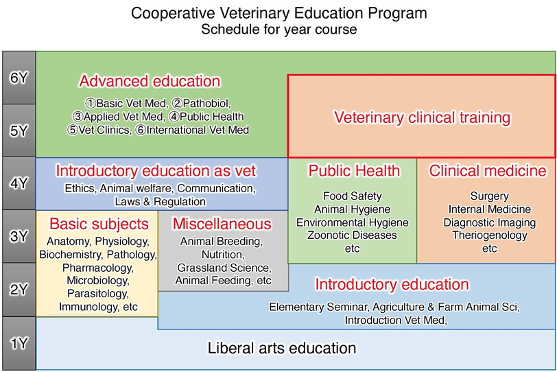 Cooperative Veterinary Education Program schedule for year course