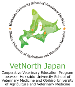 VetNorth Japan Cooperative Veterinary Education Program between Hokkaido University School of Veterinary Medicine and Obihiro University of Agriculture and Veterinary Medicine