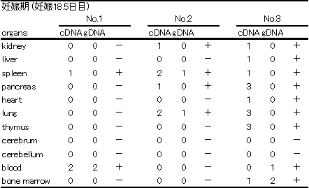 妊娠母マウスの全身臓器における胎子由来遺伝子の検索