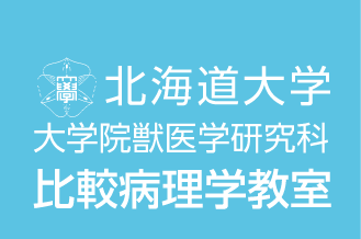 北海道大学大学院獣医学研究科比較病理学教室