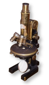 Favorite microscope of Dr. Kouichi Ichikawa