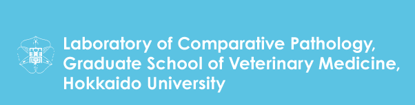 Laboratory of Comparative Pathology, Hokkaido University