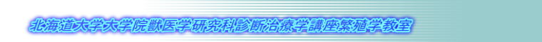 北海道大学大学院獣医学研究科診断治療学講座繁殖学教室