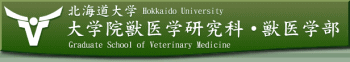 北大獣医