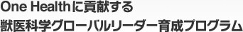 One Healthに貢献する獣医学グローバルリーダー育成プログラム