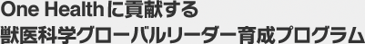 One Healthに貢献する獣医学グローバルリーダー育成プログラム